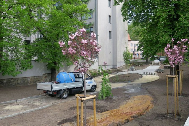 Parking przy ul. 3 Maja w Rybniku zamienia się w kwitnący skwer